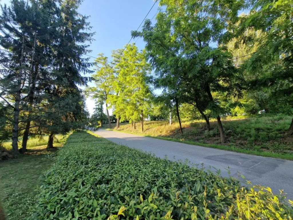 lachman nieruchomości działka na sprzedaż więcławice gm. Michałowice(6)