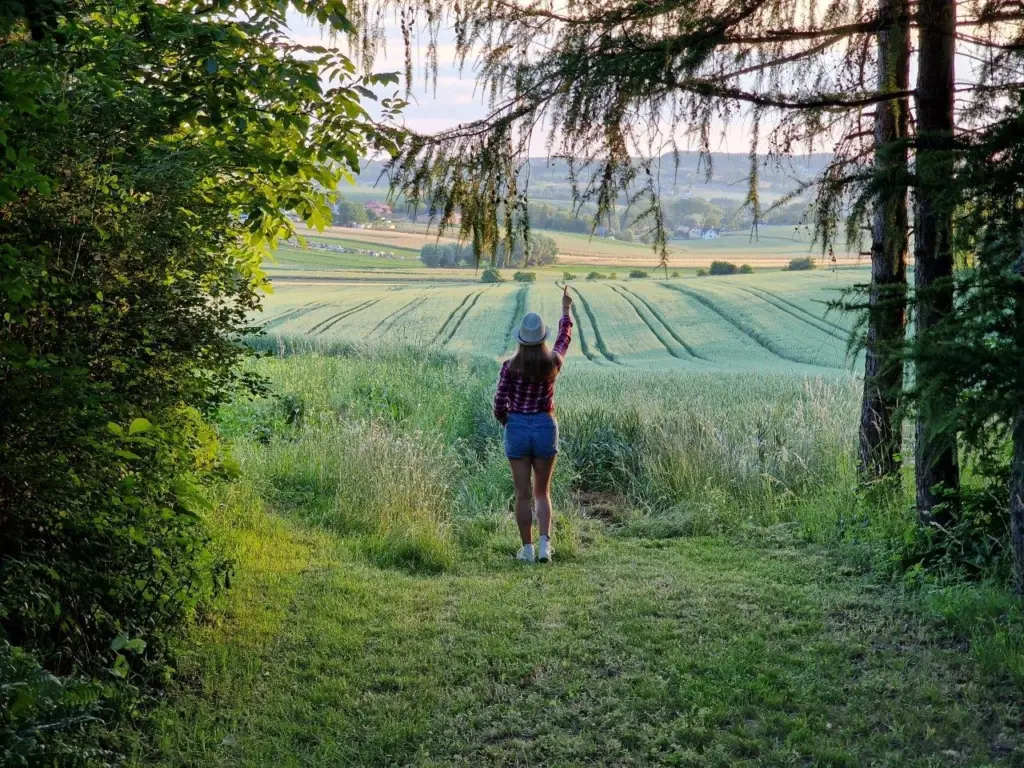 lachman nieruchomości działka na sprzedaż więcławice gm. Michałowice(6)